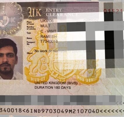 Untitled design (71)